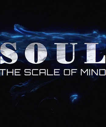SOUL (Gimmicks and Online Instructions) by Wenzi - Trick