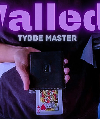 Walleds by Tybbe Master video DOWNLOAD