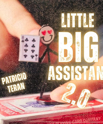The Vault - Little Big Assistant 2 by Patricio Teran video DOWNLOAD
