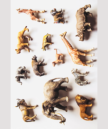 Noah's Ark Prop-less Animal Guess by Fraser Parker - Book