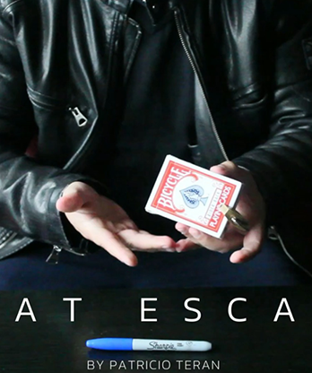 The Great Escape by Patricio Teran video DOWNLOAD