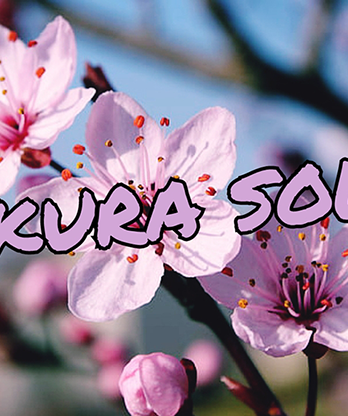 SAKURA SOLVE by Cyril Hubert and JJ Team video DOWNLOAD