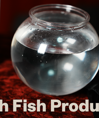 Flash Fish Production by LT Magic
