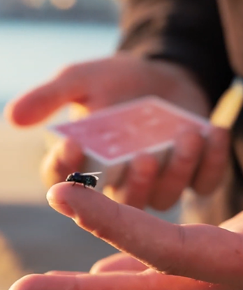 The FLY LITE by Marcos Waldemar & Invisible Compass