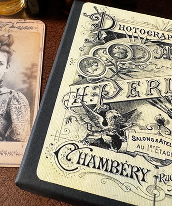 The Curious Case Of Amanda Cole by Dead Rebel Productions