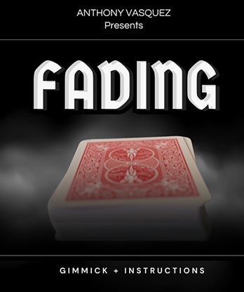 Fading (Red) by Anthony Vasquez