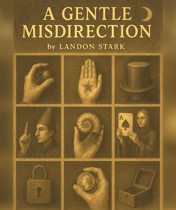 A Gentle Misdirection by Landon Stark eBook DOWNLOAD