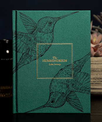 The Hummingbirds by Luke Jermay