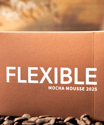 Flexible Mocha Mousse Playing Cards by TCC