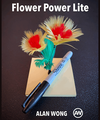 FLOWER POWER LITE by Alan Wong