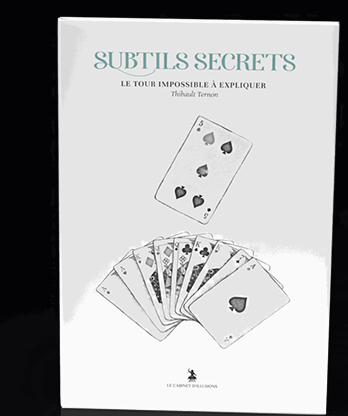 Subtle Secrets 2 by Thibault Ternon