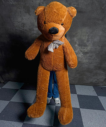 Teddy Bear Appearance (Large) by MS Magic