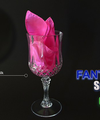 Fantastic Surprise Glass by Sorcier Magic
