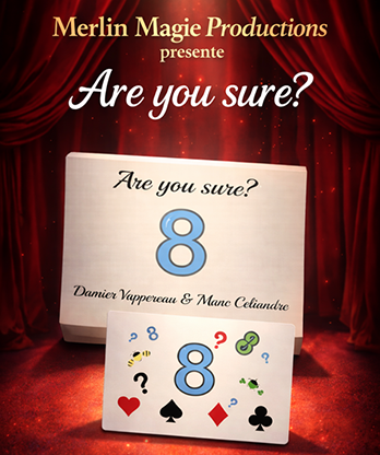 Are You Sure? by Damien Vappereau and Marc Céliandre