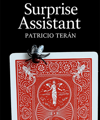 Surprise Assistant by Patricio Teran video DOWNLOAD