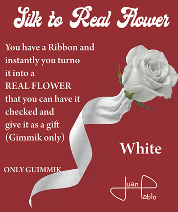 Silk to Real Flower (White) by Juan Pablo