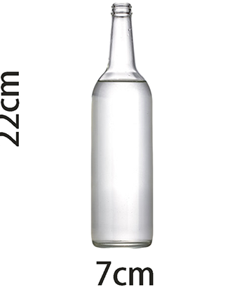 Self Exploding Transparent Beer Bottle (Small) by Wance