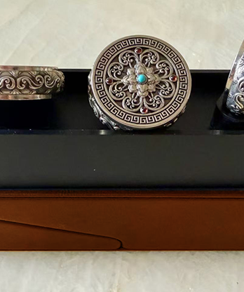 Coin Vault Case and Display Set (Brown)