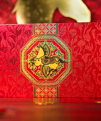 Year of the Horse Collection Set by TCC Fashion