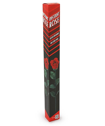 Instant Rose by Vincenzo DiFatta