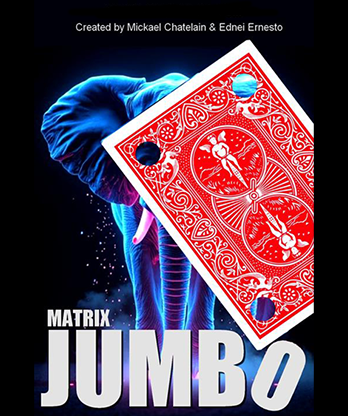 Matrix Revolution Jumbo (Red) by Mickael Chatelain