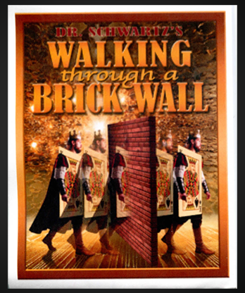 Walking Thru a Brick Wall by Martin Schwartz