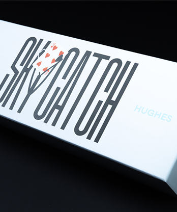 Sky Catch by Taylor Hughes