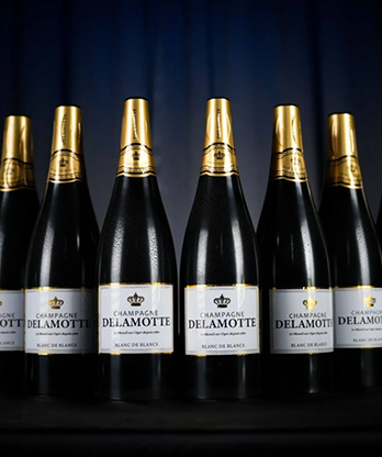 Miracle Wine Bottles Champagne Model Complete Set with Case by TCC Magic